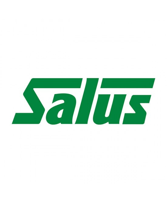 SALUS HAUS GMBH & CO KG