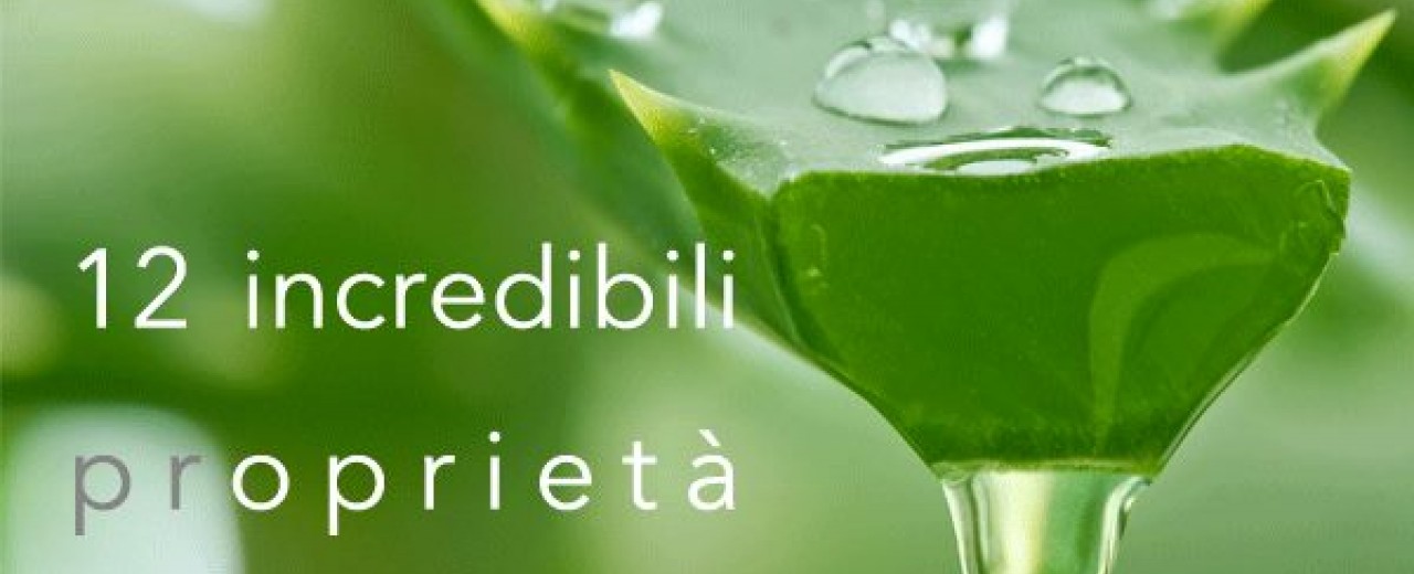 Aloe Vera: proprietà e benefici